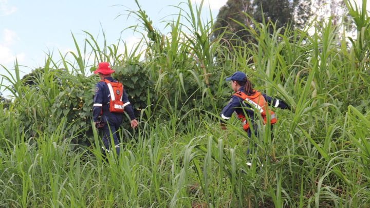 Corpo de idoso que estava desaparecido é encontrado no Oeste de SC