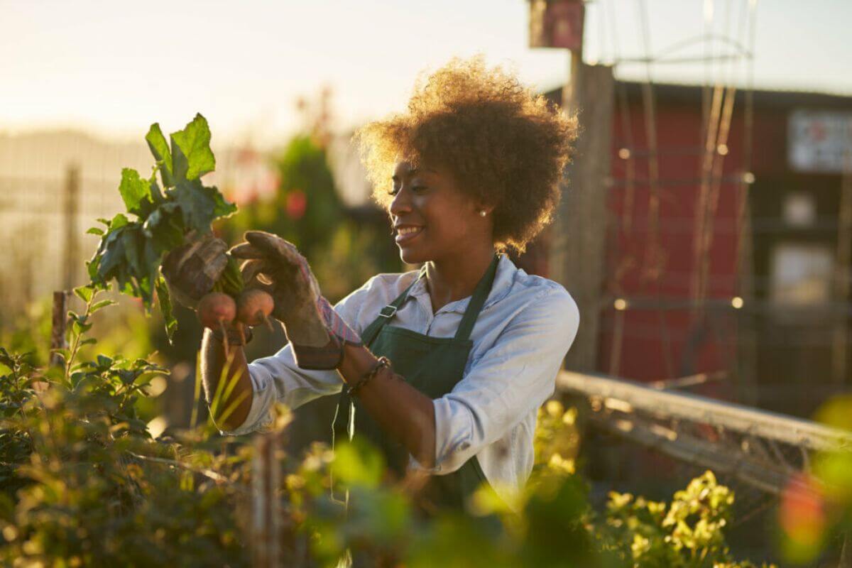 Replantar os vegetais é uma maneira de evitar o desperdício de alimentos (Imagem: Joshua Resnick | Shutterstock)