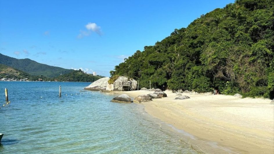 Tudo que você precisa saber sobre a Ilha de Porto Belo 