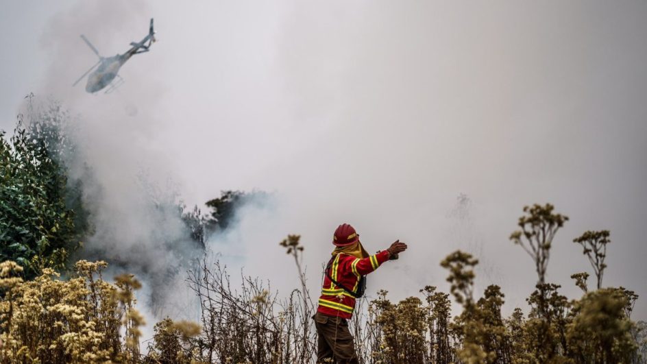 FOTOS: Incêndios florestais no Chile já causam 112 mortos