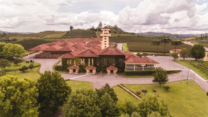 Vinícola Miolo (Emerson Ribeiro/Vinícola Miolo)