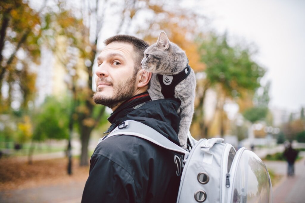 Passear com os pets estimula a socialização e a saúde mental (Imagem: Frau aus UA | Shutterstock)