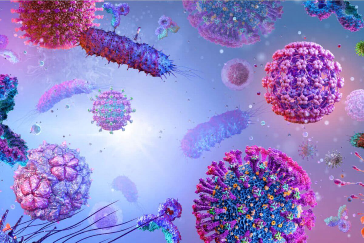 A raiva é transmitida para as pessoas pela saliva de mamíferos infectados (Imagem: Corona Borealis Studio | Shutterstock)