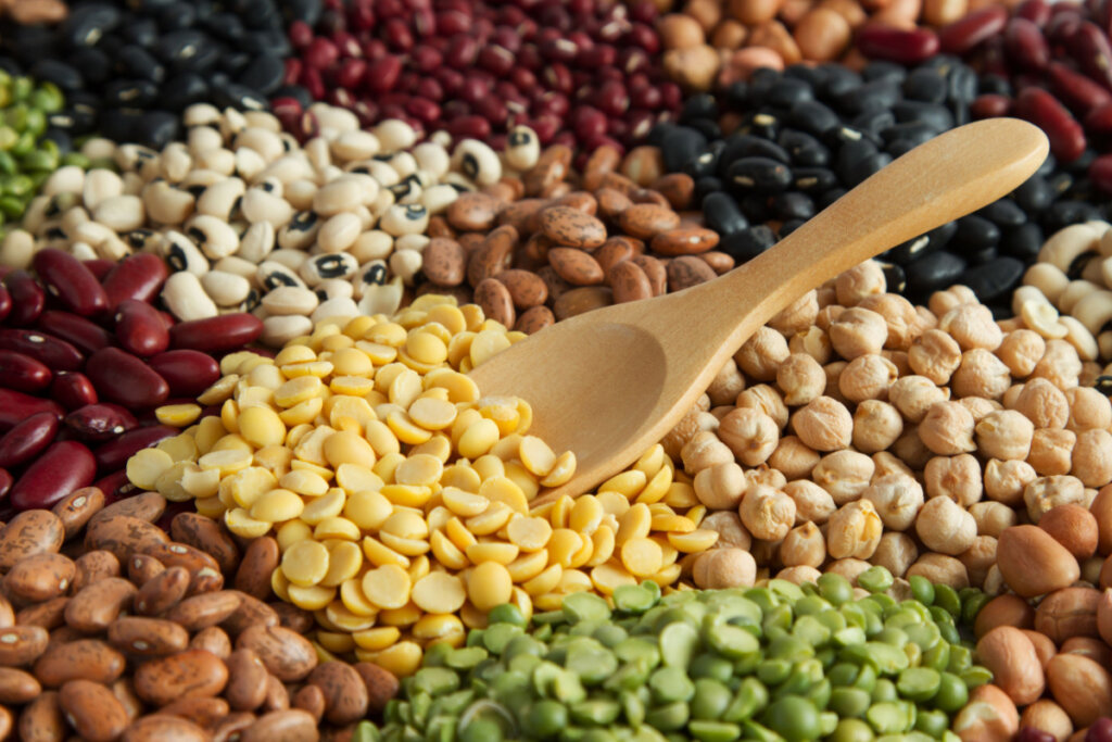 As leguminosas são repletas de nutrientes essenciais para promover uma alimentação equilibrada e saudável (Imagem: Piyaset | Shutterstock)