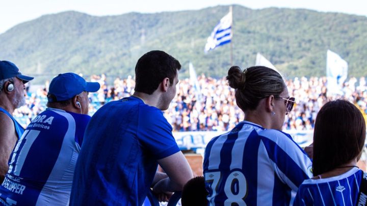 Torcedores Avaí (Foto: Laysa Silva, Avaí F.C)