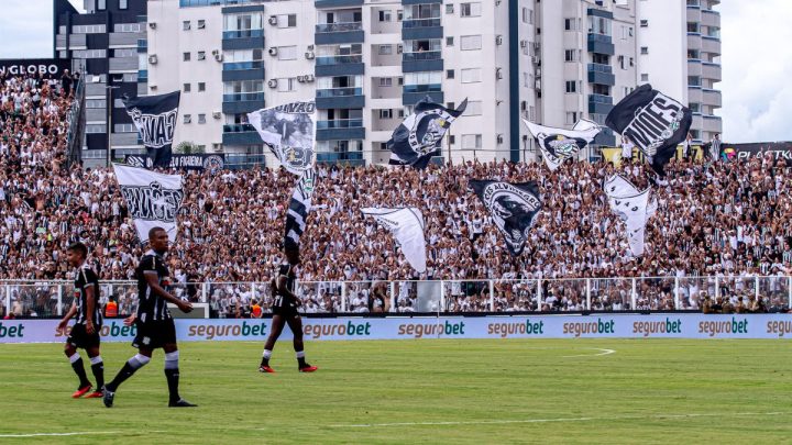 Torcedores Figueirense no clássico (Foto: Patrick Floriani, Figueirense)