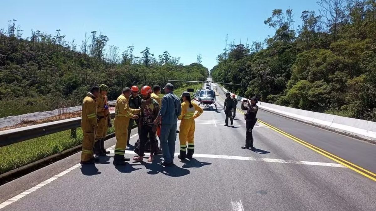 Turista acabou se perdendo enquanto realizava uma trilha de difícil acesso em SP (Foto: Divulgação, Fundação Florestal)