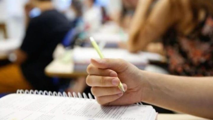 Universidade Gratuita terá mudanças em 2024 (Foto: Leo Munhoz, arquivo NSC)