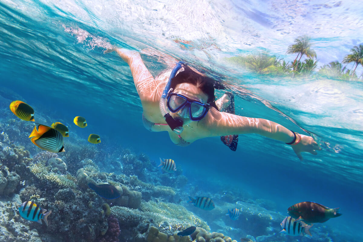 Bahamas é perfeitas para mergulhar em recifes de corais e nadar com animais marinhos (Imagem: Patryk Kosmider | Shutterstock)