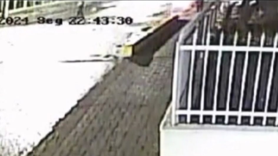 VÍDEO: Câmeras mostram momento que suspeito se aproxima de mulher estuprada e apedrejada em SC