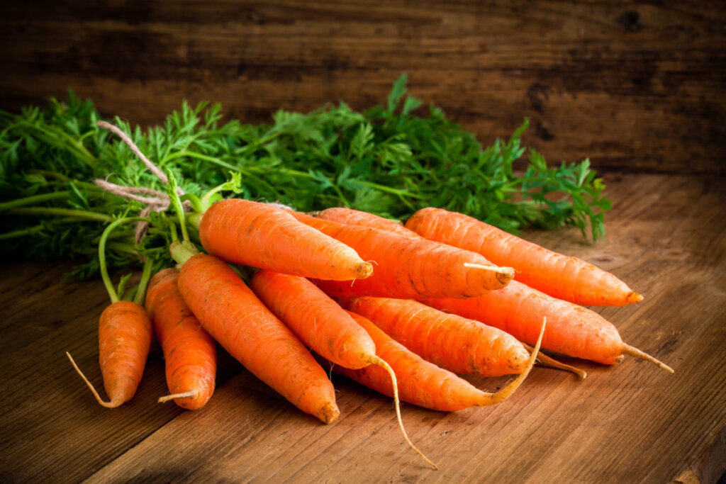 As folhas de cenoura podem ser plantadas de maneira simples (Imagem: nblx | Shutterstock)