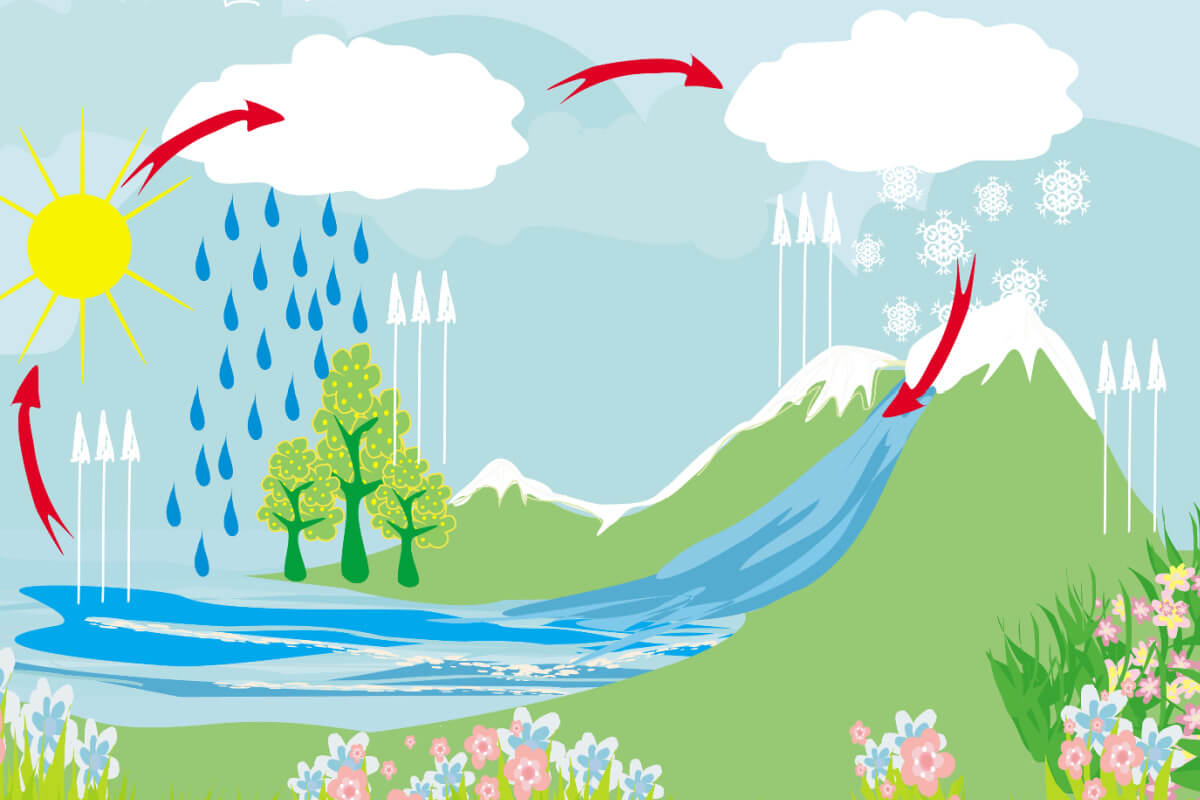 Os principais ciclos biogeoquímicos são o ciclo da água, do carbono, do oxigênio e do nitrogênio (Imagem: Jacky Brown | Shutterstock)