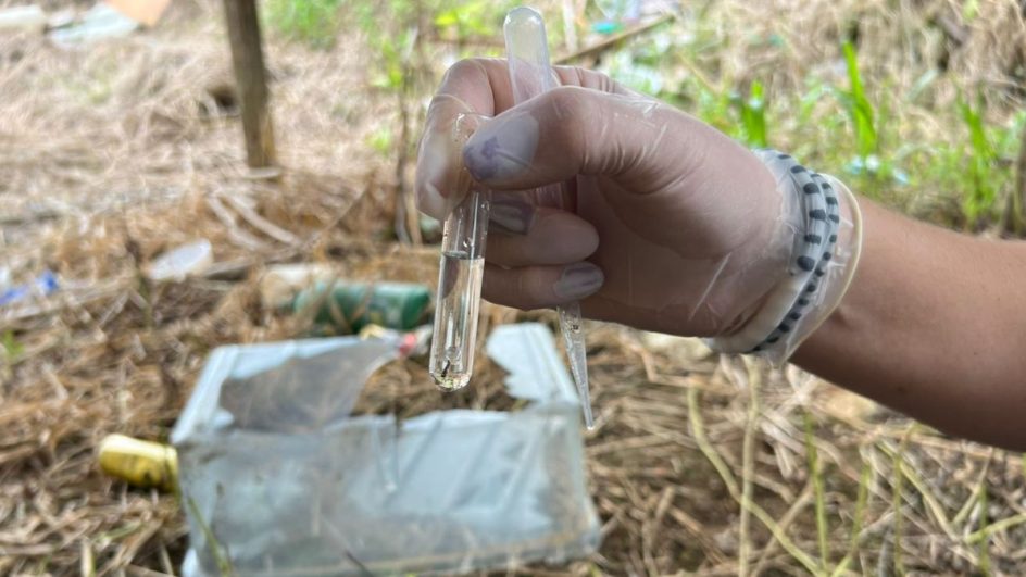 Casos de dengue explodem com aumento de 6.000% e cidade de SC vive epidemia