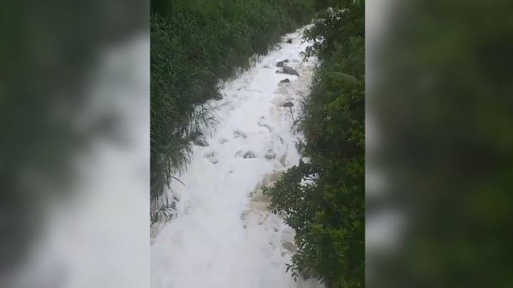 VÍDEO: Espuma de produto químico ressurge em rio de Joinville 20 dias após acidente