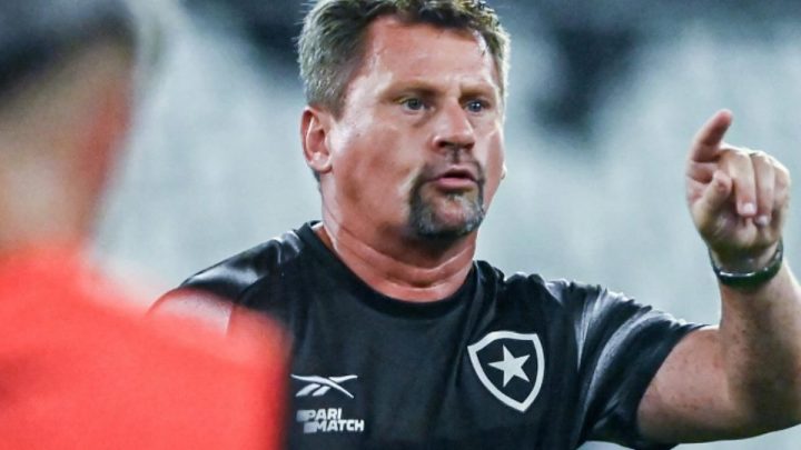 fabio matias figueirense botafogo.png