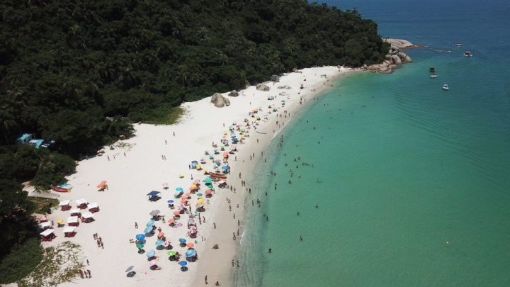 ilha do campeche
