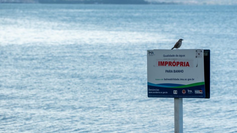 IMA avalia, entre outras atribuições, a balneabilidade das praias