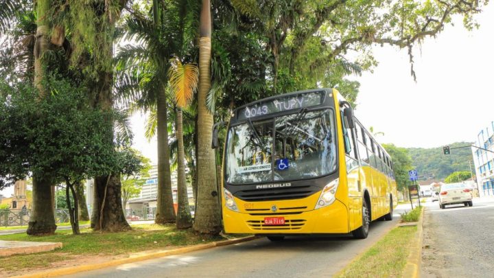 Com mais de 6 mil votos, moradores escolhem nova cor dos ônibus de Joinville