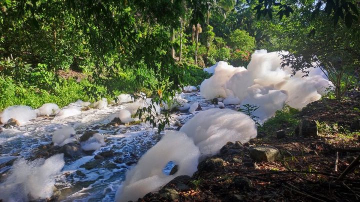 Transportadora que derramou ácido sulfônico em rio de Joinville é multada em R$ 3,3 milhões