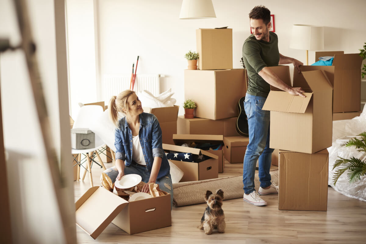 O processo não cuidadoso de separação pode gerar estresse aos animais (Imagem: gpointstudio | Shutterstock)