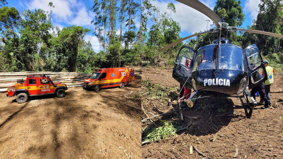 Homem fica ferido após ser atingido por árvore no Sul de SC