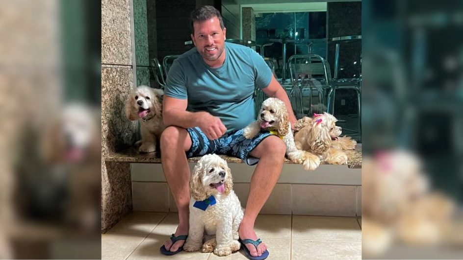 Homem é preso por invadir casa de vizinho e esfaquear cachorros em Florianópolis