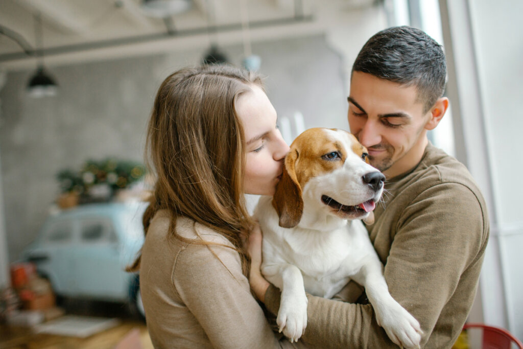 Usher pode ser uma boa opção de nome para um cachorro elegante (Imagem: Katsiaryna Pakhomava | Shutterstock)