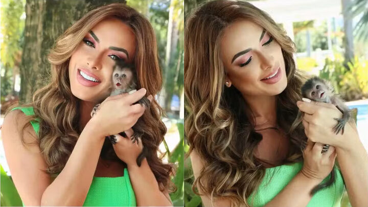 Dois macacos-prego de Nicole Bahls foram apreendidos por estarem coma documentação falsificada