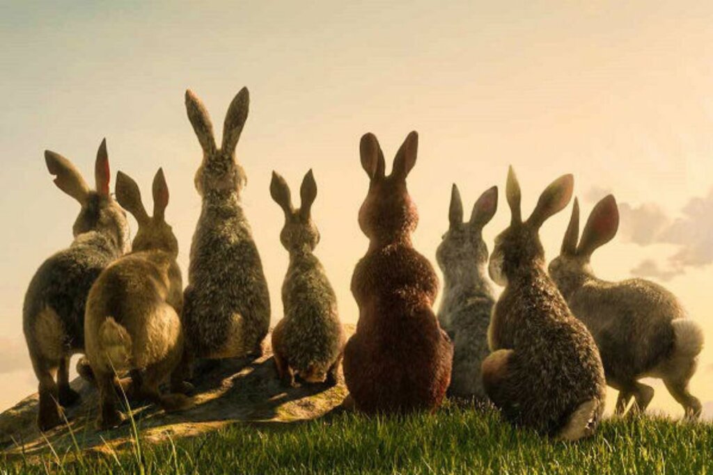 &ldquo;Em Busca de Watership Down&rdquo; narra a jornada &eacute;pica de um grupo de coelhos em busca de um novo lar (Imagem: Reprodu&ccedil;&atilde;o digital | Alltime Entertainment, Helix Animation, Decode e Entertainment YTV Originals)