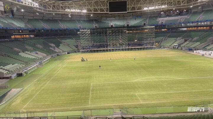 Veja como está o gramado do Allianz Parque
