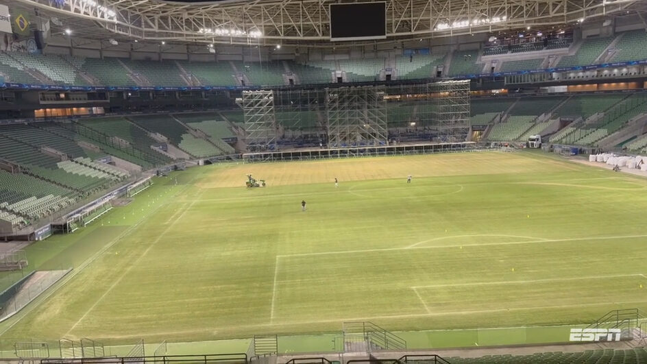 Veja como está o gramado do Allianz Parque