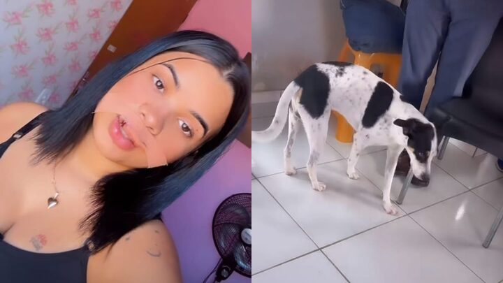 Modelo tem parte do lábio arrancada após mordida do cachorro Bolinha (Fotos: Instagram, Reprodução)