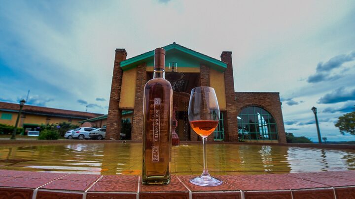 O que fez Madonna se encantar por vinho da Serra catarinense durante turnê no Brasil