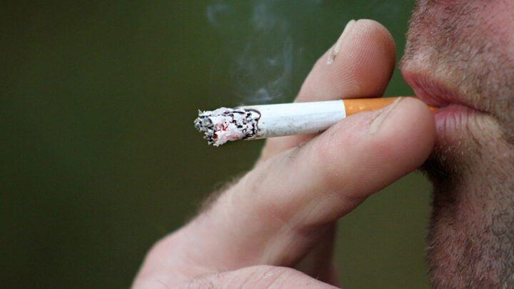 O que muda com aprovação de lei que proíbe o uso de cigarro em parques de SC