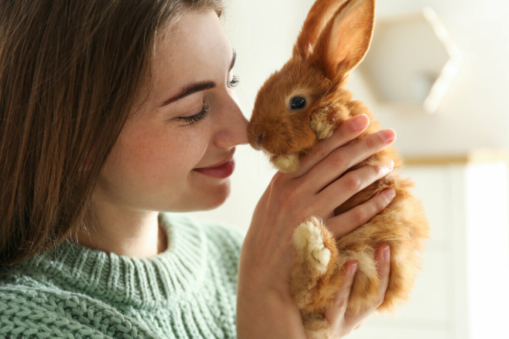 Com os devidos cuidados, os coelhos podem viver entre 8 e 12 anos (Imagem: New Africa | Shutterstock)