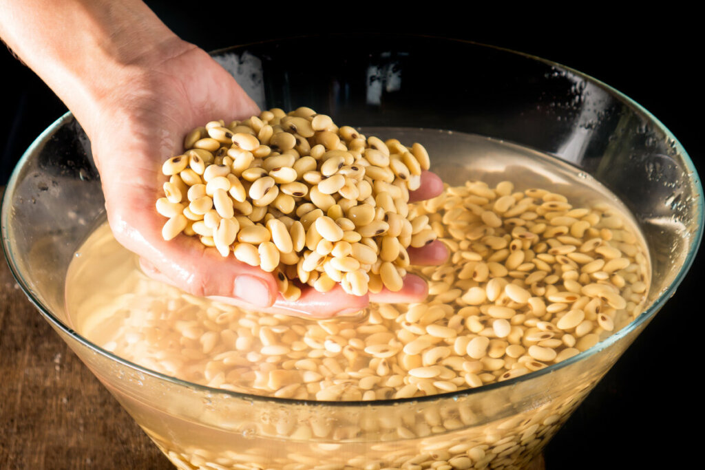 Deixar o feij&atilde;o de molho mant&eacute;m o valor nutricional do gr&atilde;o (Imagem: Panya_Anakotmankong | Shutterstock)