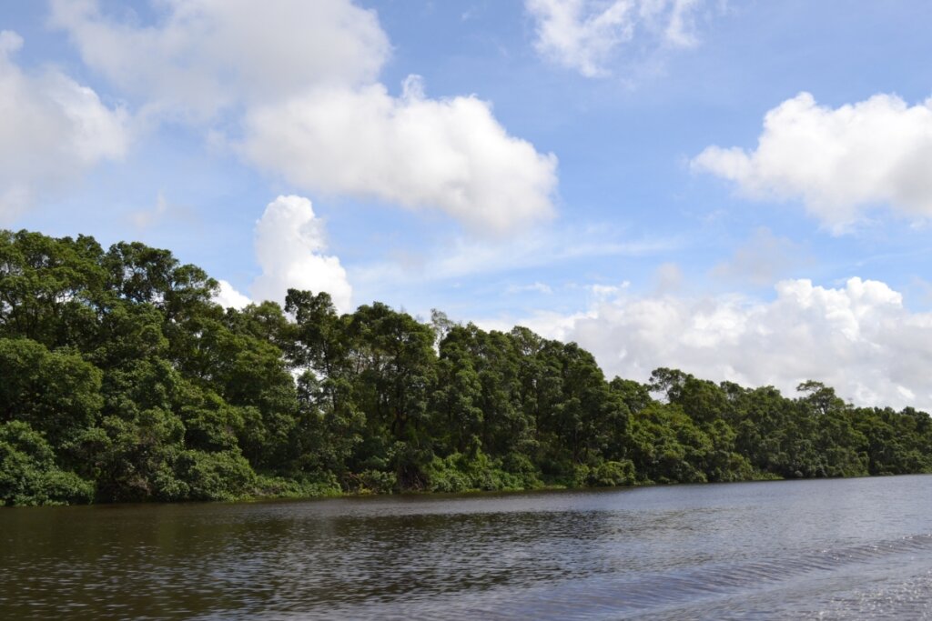 Rio Preguiças oferece uma paisagem exuberante para quem deseja contemplar a natureza (Imagem: soniarcf | Shutterstock)