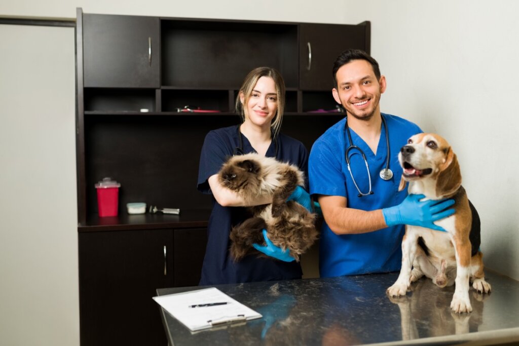 Algumas raças de gatos e cachorros têm mais chances de desenvolver doenças renais (Imagem: Beach Creatives | Shutterstock)