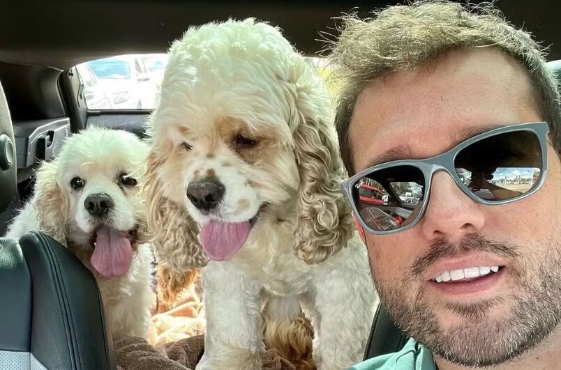 Cães foram esfaqueados por vizinho