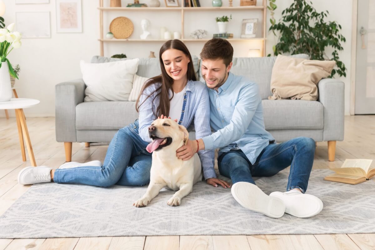 É importante garantir que o animal receba cuidados após as férias (Imagem: Prostock-studio | Shutterstock)