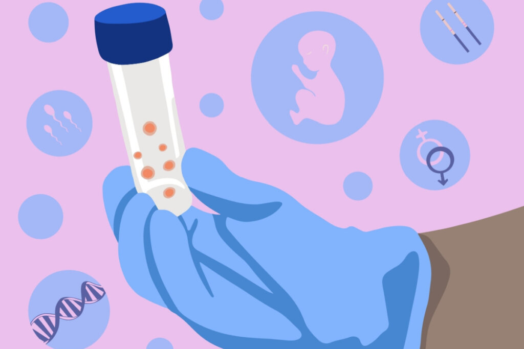 O Conselho Federal de Medicina recomenda que a fertilização in vitro seja realizada até os 50 anos (Imagem: YULIA_988 | Shutterstock)