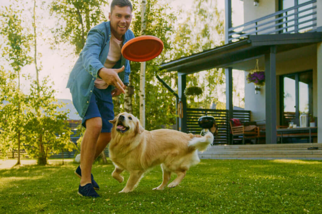 Brincar com o cachorro regularmente ajuda a gastar energia e evitar a obesidade (Imagem: Gorodenkoff | ShutterStock)