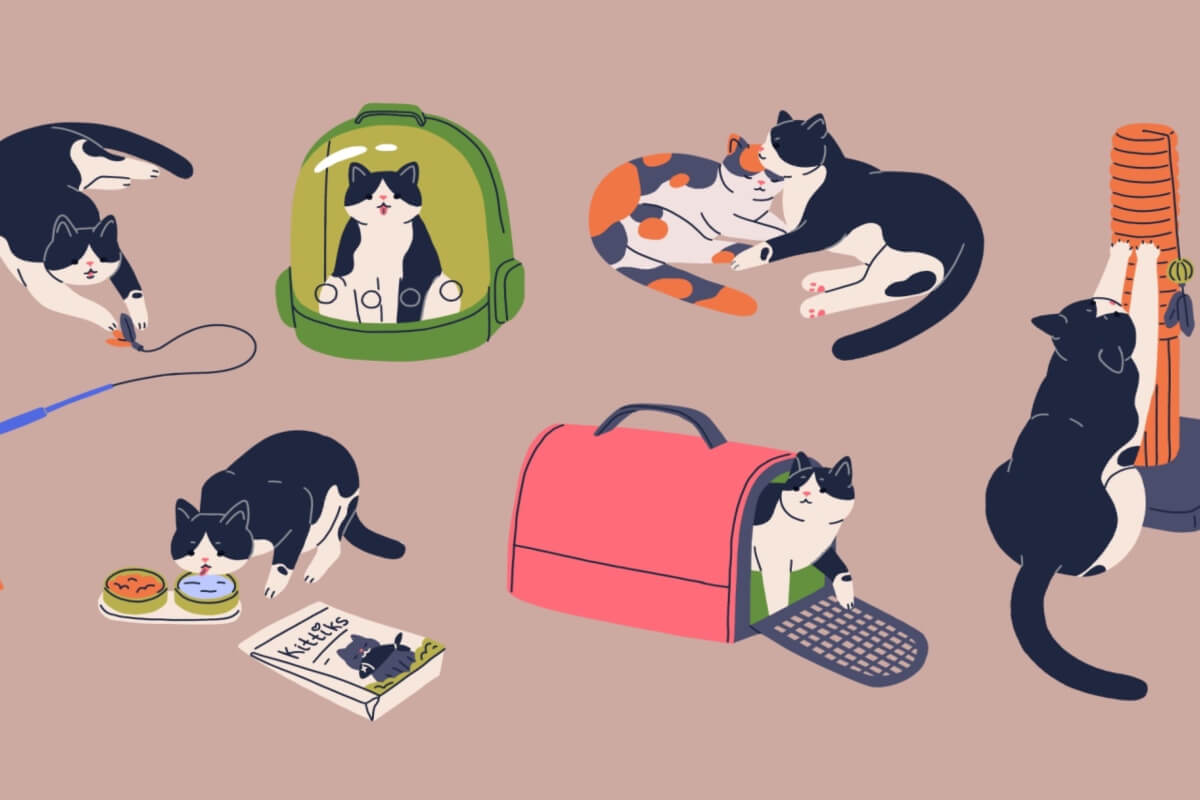 Os itens para gatos facilitam o dia a dia e garantem bem-estar aos felinos (Imagem: GoodStudio | Shutterstock)