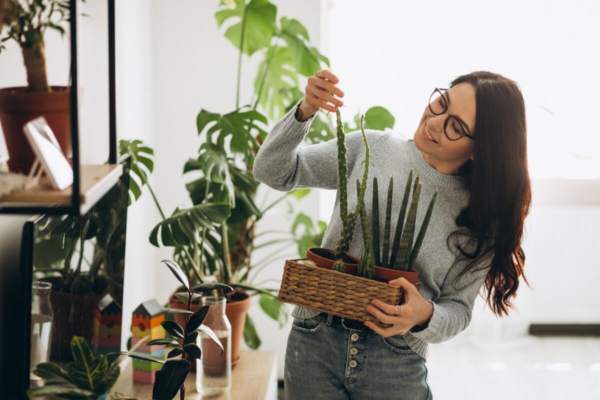 Com a chegada do outono, é necessário dar atenção especial às plantas (Imagem: PH888 | Shutterstock)