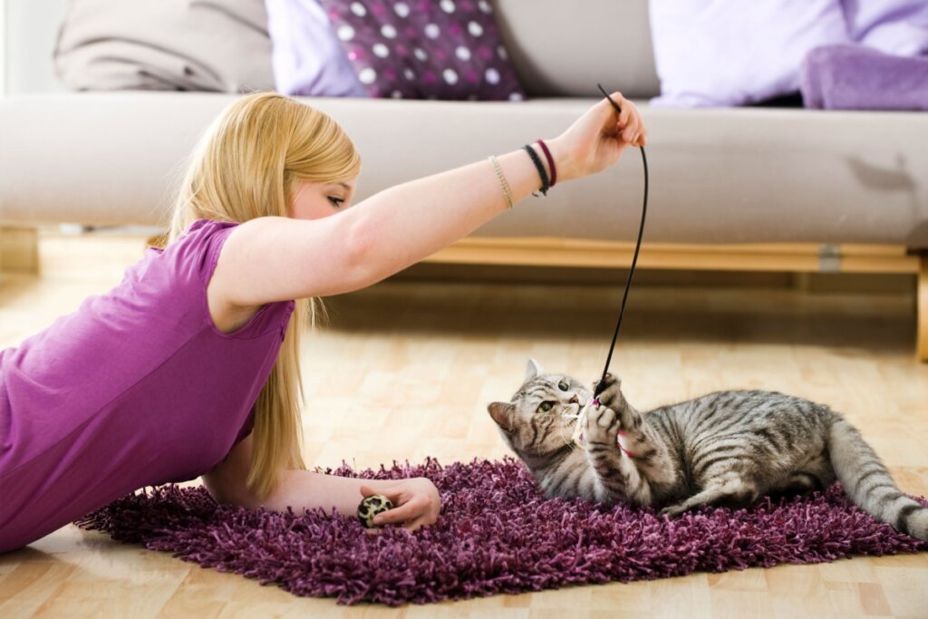Se voc&ecirc; tem habilidades com animais de estima&ccedil;&atilde;o, hospedagem de pets &eacute; uma &oacute;tima op&ccedil;&atilde;o (Imagem: Dora Zett | Shutterstock)