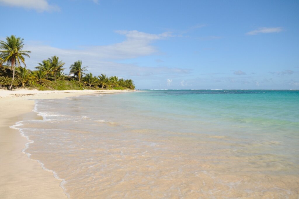 A Praia de Lages deve fazer parte de seu roteiro por Alagoas (Imagem: Lauren Orr | Shutterstock)