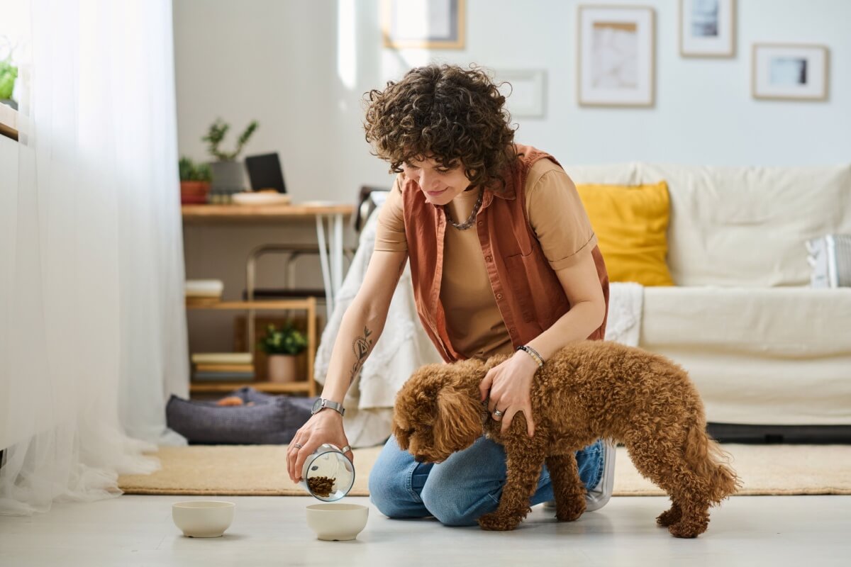 A obesidade é um problema que pode colocar em risco a saúde do cachorro (Imagem: AnnaStills | Shutterstock)