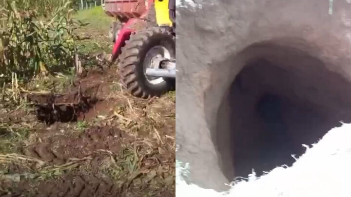 Agricultor de SC descobre buraco gigante em plantação de milho