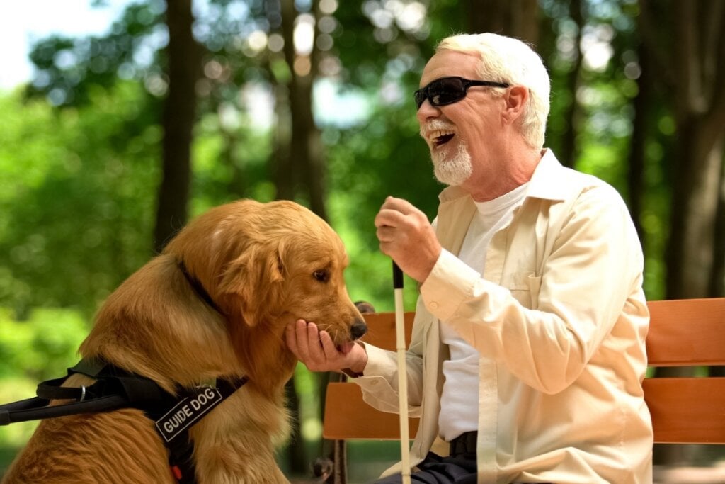 Cão-guia oferece aporte físico e aumenta a autoestima das pessoas com deficiência visual (Imagem: Motortion Films | Shutterstock)