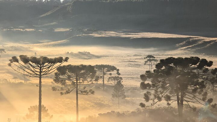 Amanhecer de sábado (20) em Bom Jardim da Serra